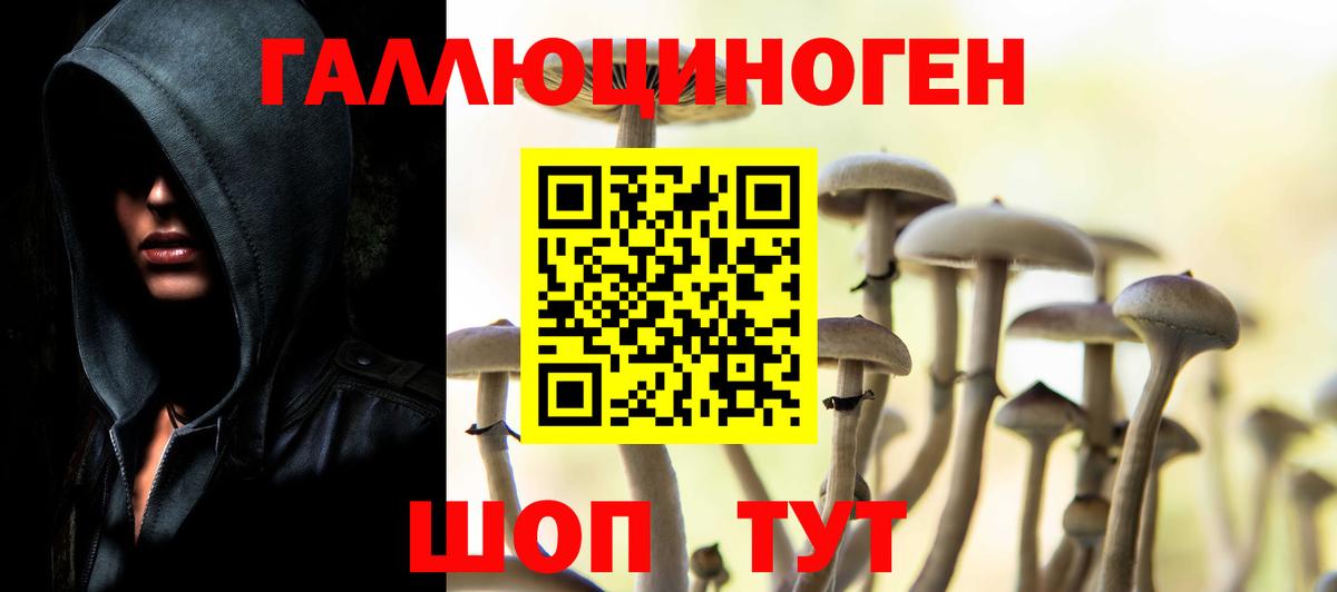 Псилоцибиновые грибы Magic Shrooms  купить наркотики сайты  Богородск  Вход с VPN 
